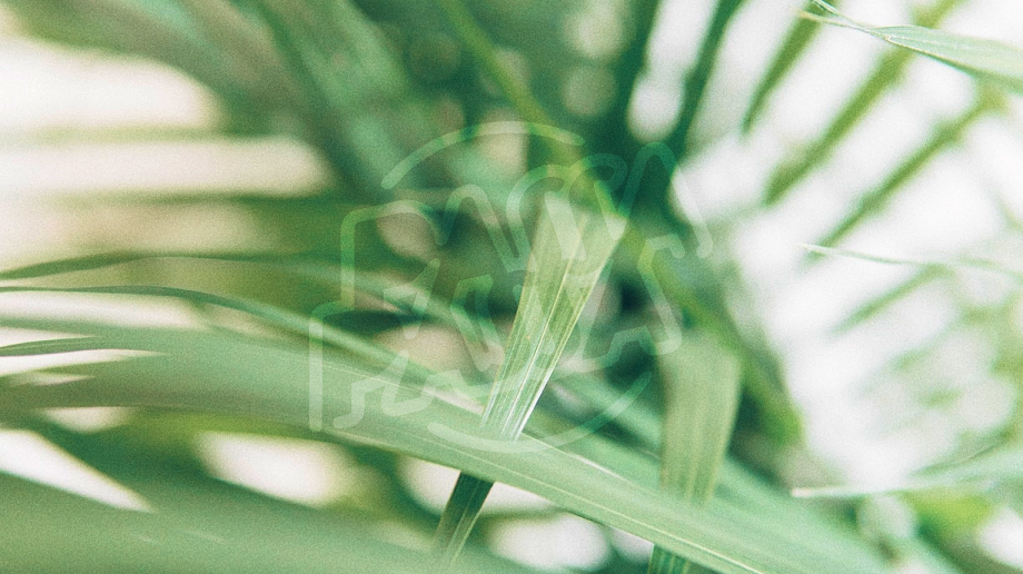 1.11 i&nbsp;11.11 wolne